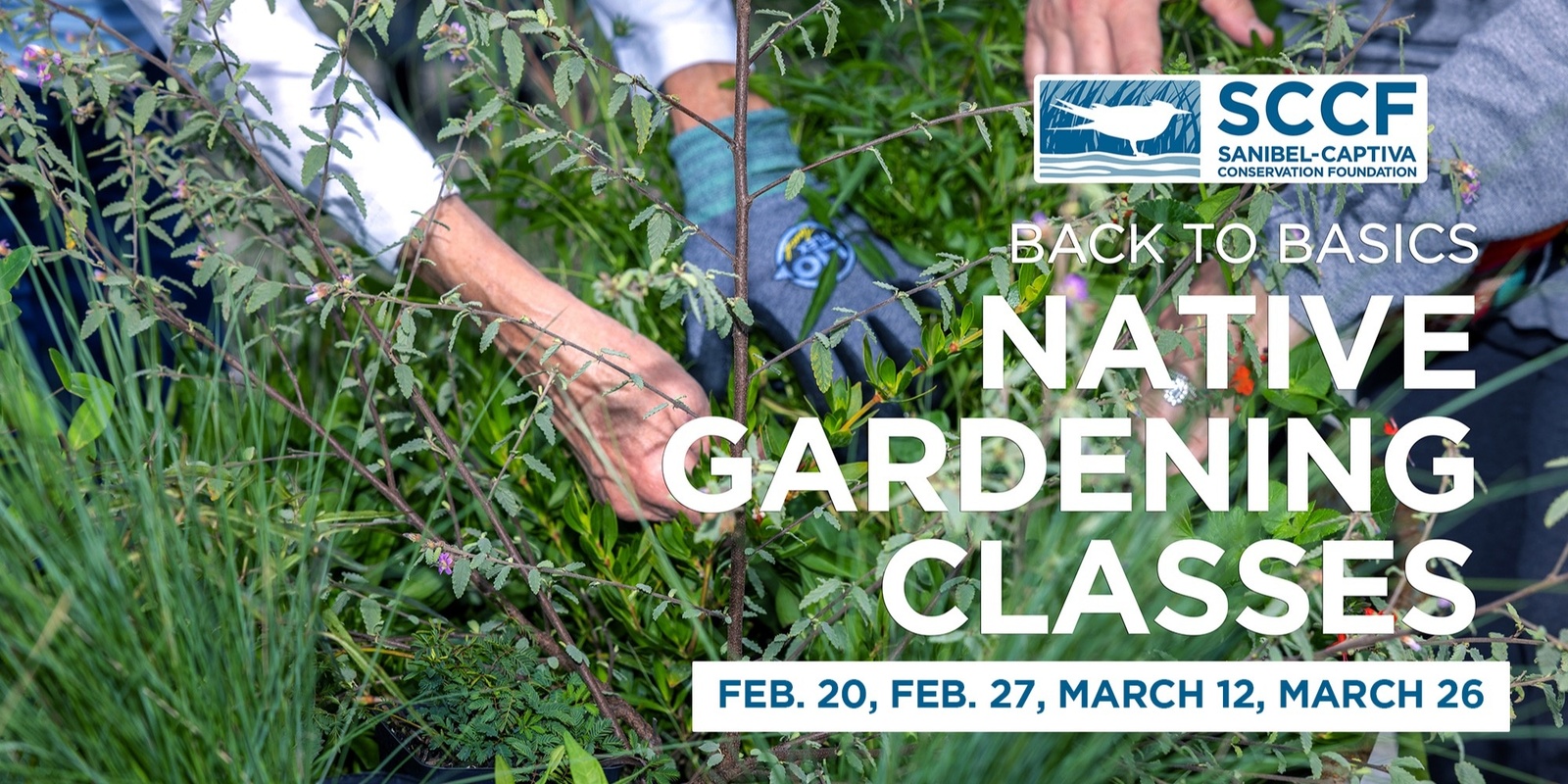 Banner image for Back to Basics: Native Planting Workshops