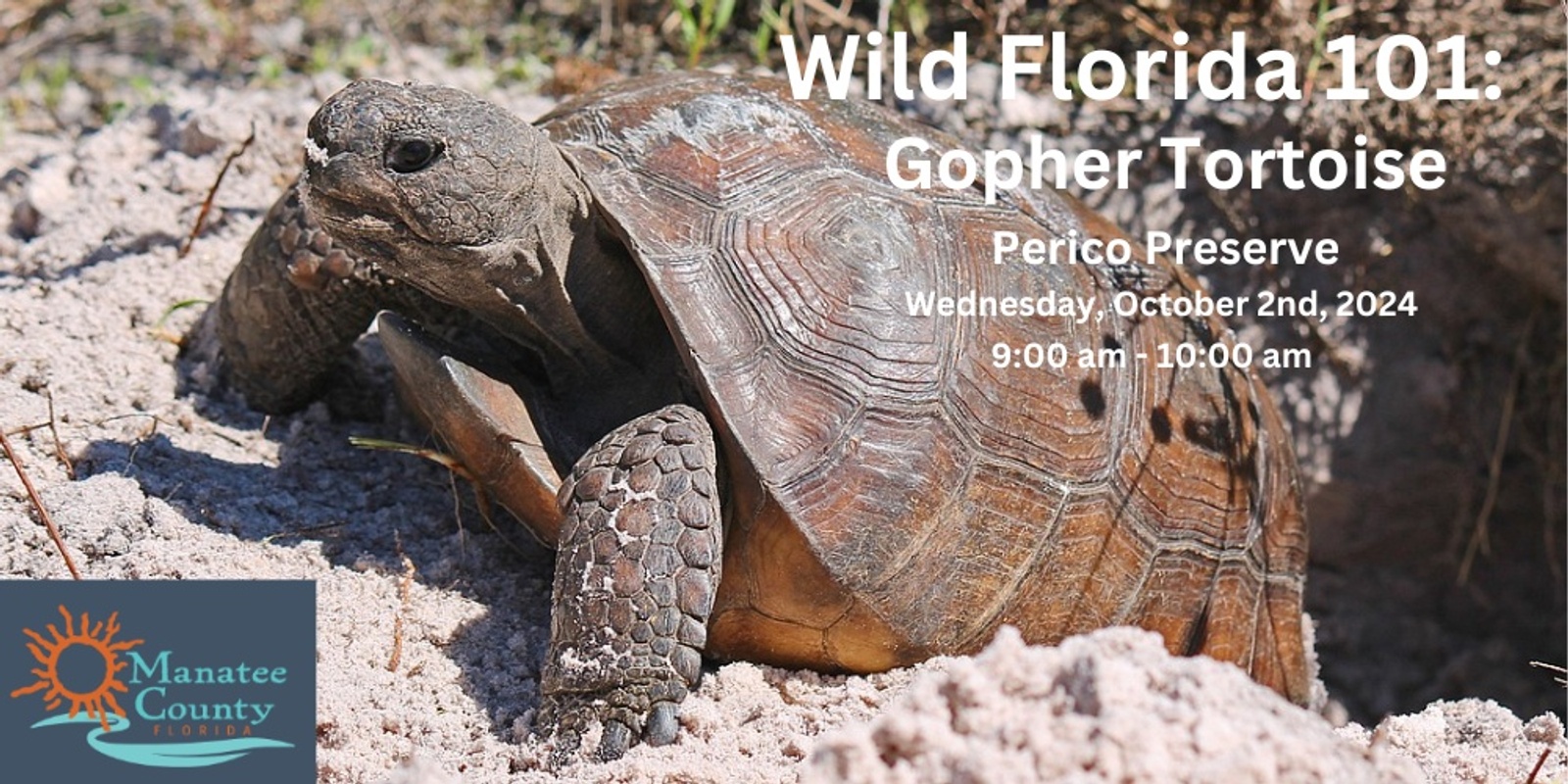 Banner image for Wild Florida 101: Gopher Tortoise