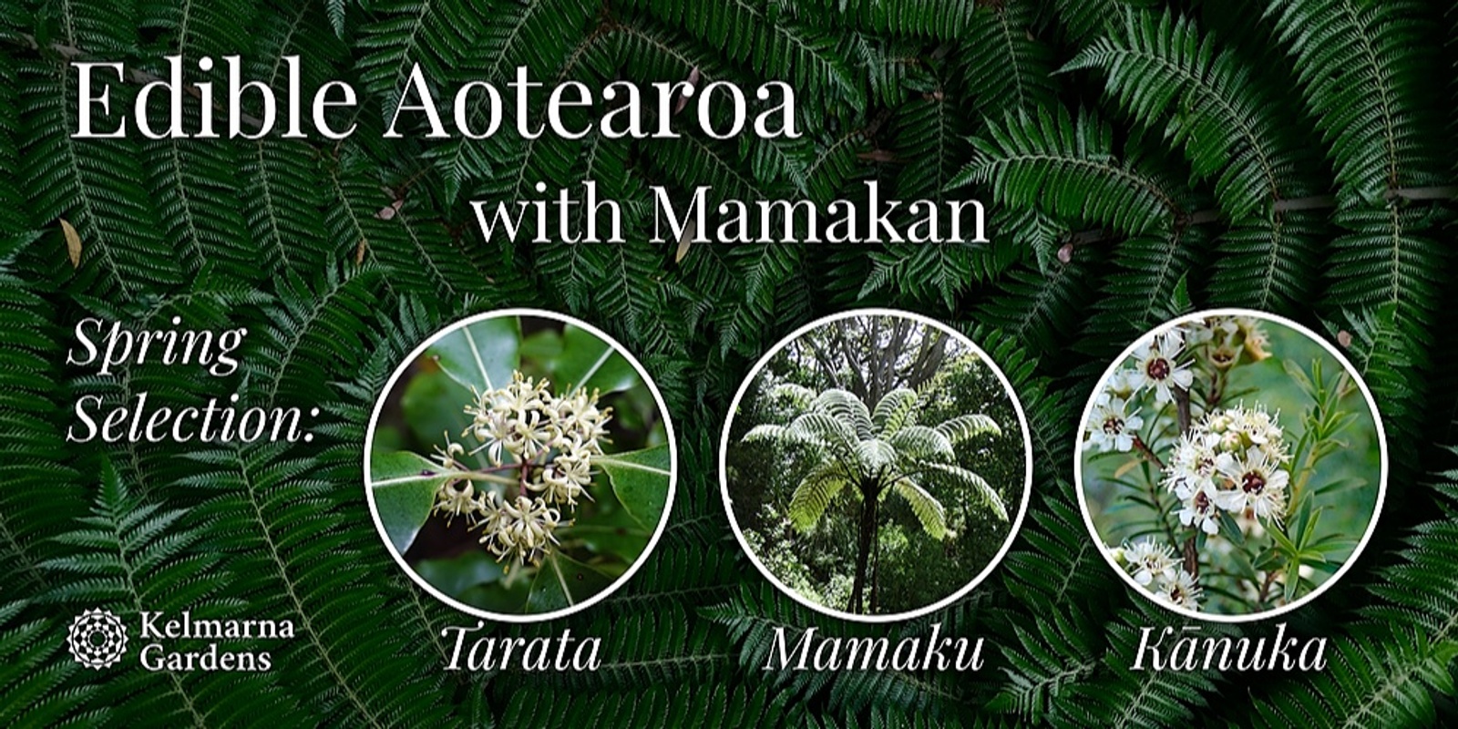 Banner image for Edible Aotearoa - Spring Selection (Tarata, Mamaku, Kānuka) [PM Sunday]