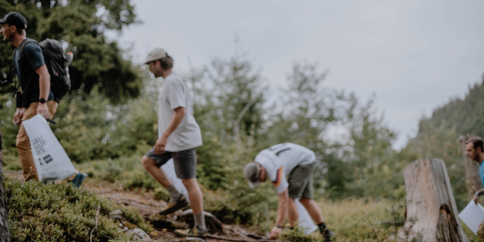 Banner image for Community Hike | Innsbruck