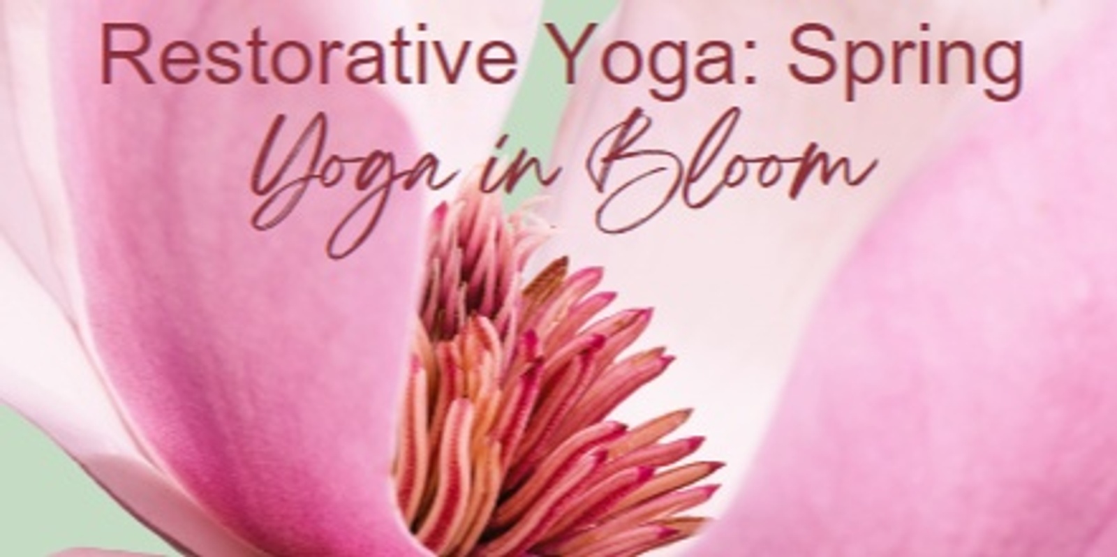 Banner image for Restorative Yoga with the Seasons: Spring