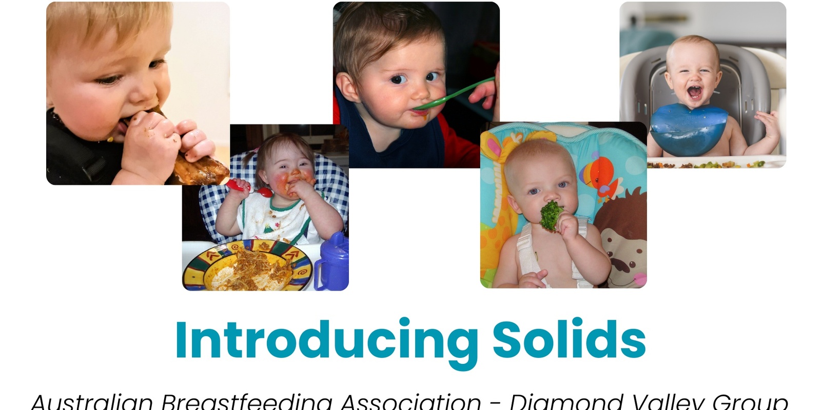 Banner image for Introducing Solids - Connect and Share - Australian Breastfeeding Association