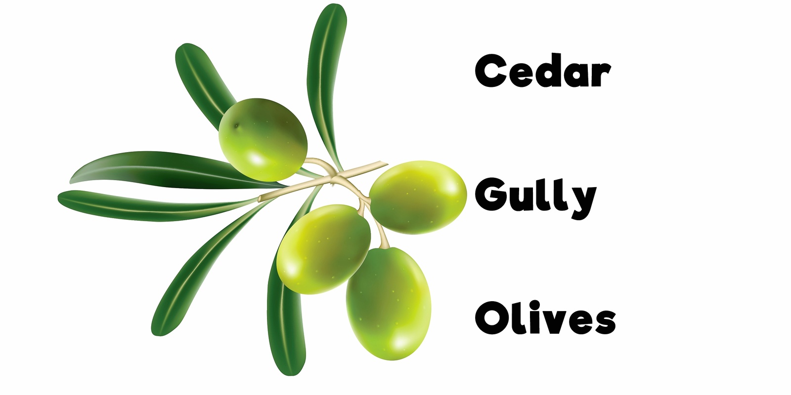 Cedar Gully Olives's banner