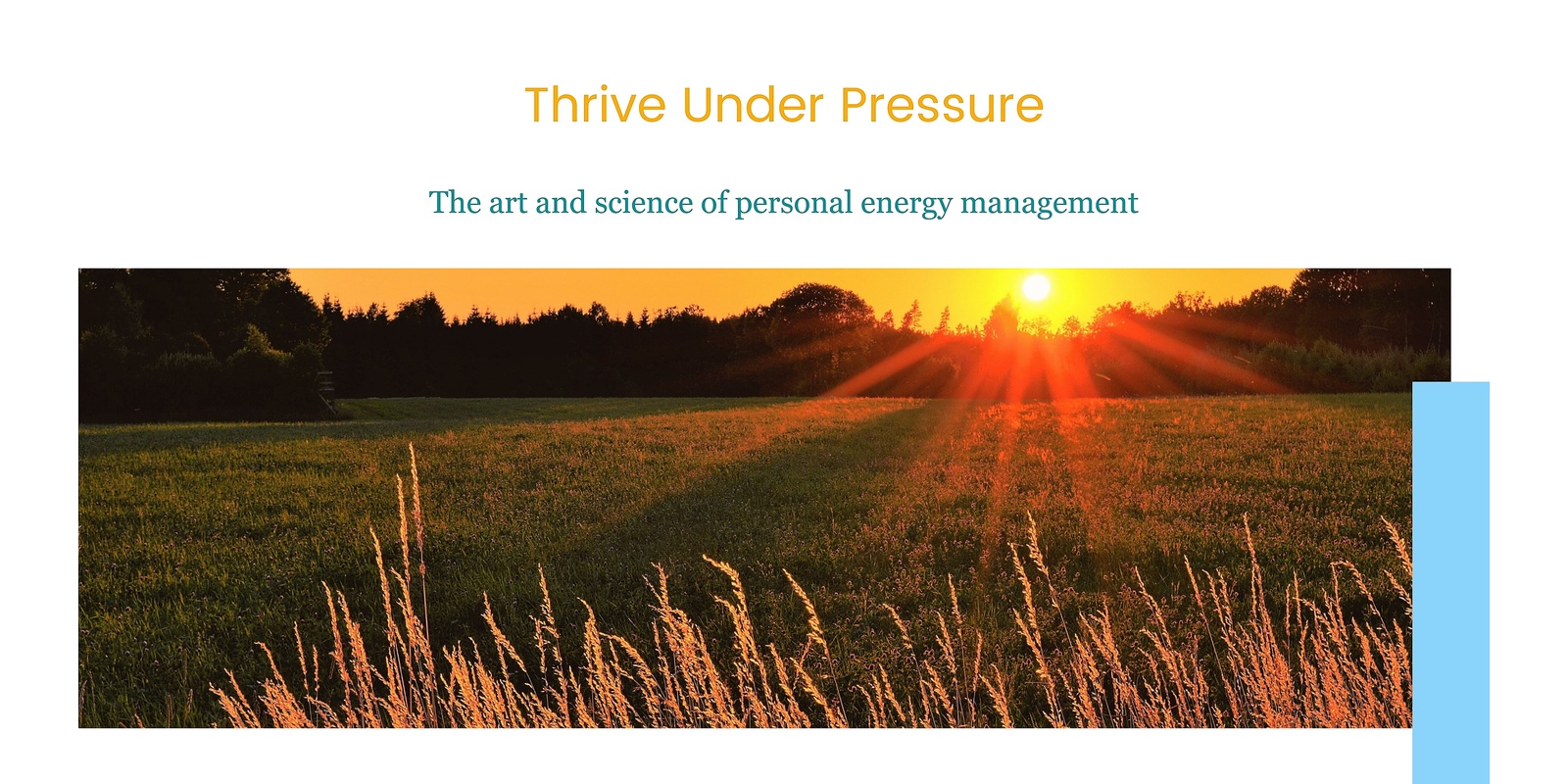 Banner image for Thrive  Under Pressure: The art and science of personal energy management