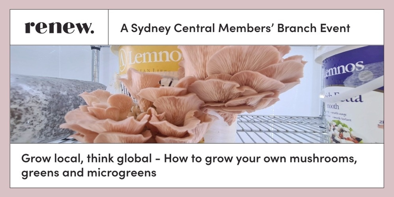 Banner image for Grow local, think global - How to grow your own mushrooms, greens and microgreens