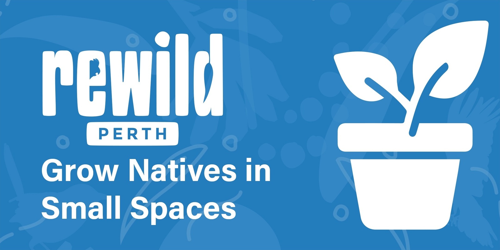 Banner image for ReWild Workshop: Grow Natives in Small Spaces (Lockridge)