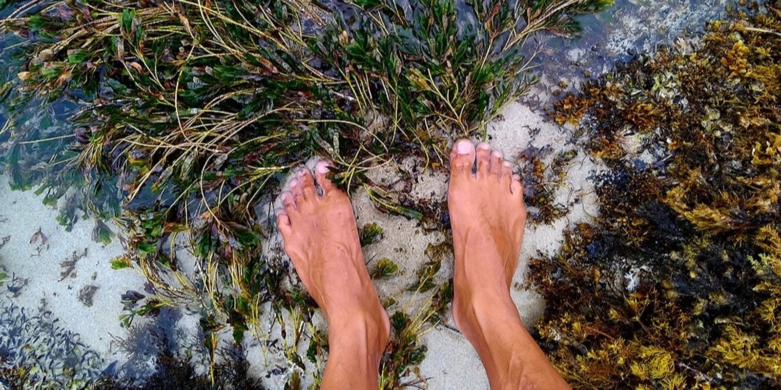 Banner image for Kapu Kai (Hawaiian Salt Water Cleansing Ceremony) LEIGHTON BEACH, PERTH