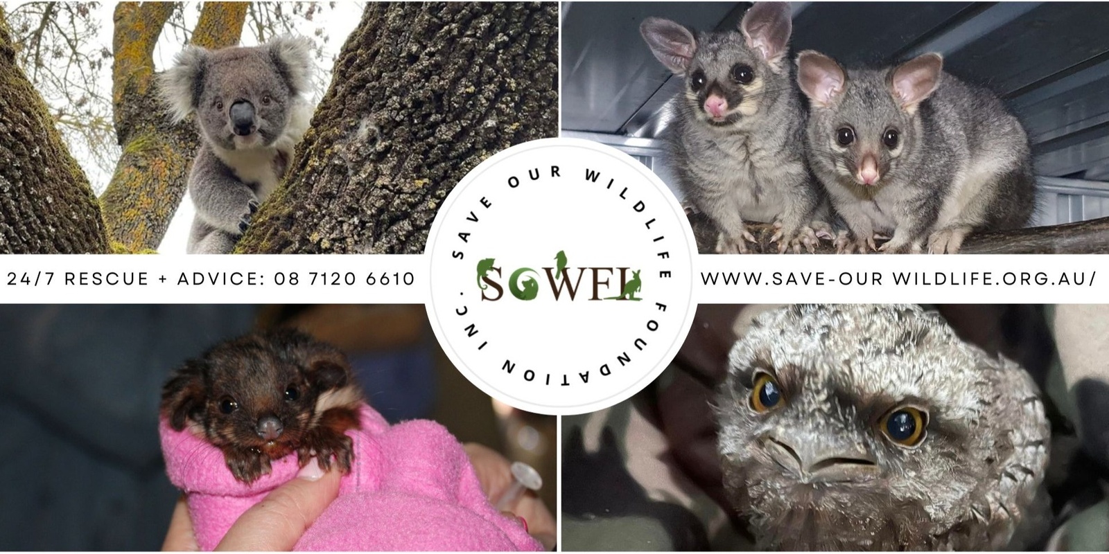 Save Our Wildlife Foundation Inc. (SOWFI)'s banner