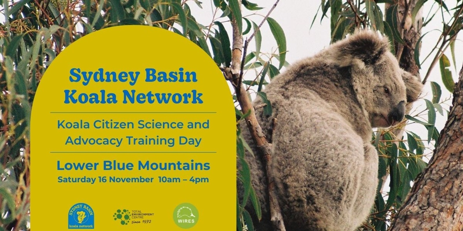 Banner image for Koala Training Day in the Lower Blue Mountains