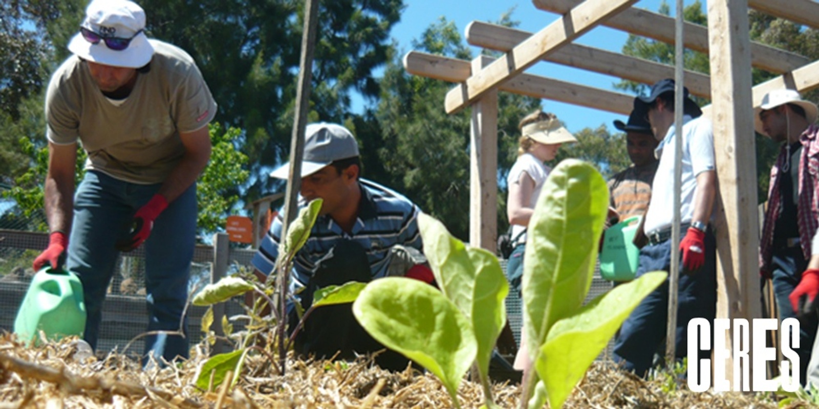 Banner image for Sustainable Gardening