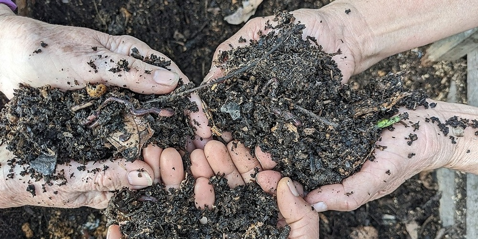 Banner image for Introduction to Composting 