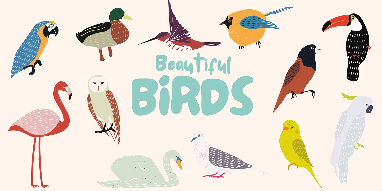 Banner image for Thurs 28th - Beautiful Birds