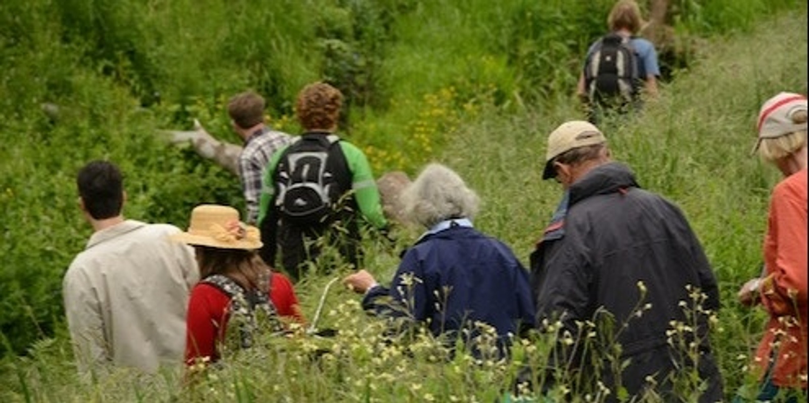 Banner image for COME HOME TO FORAGING I: Spring Wild foraging, food and nature connection