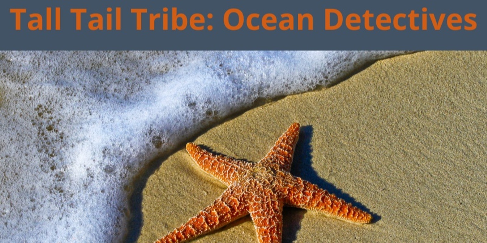 Banner image for Tall Tail Tribe: Ocean Detectives