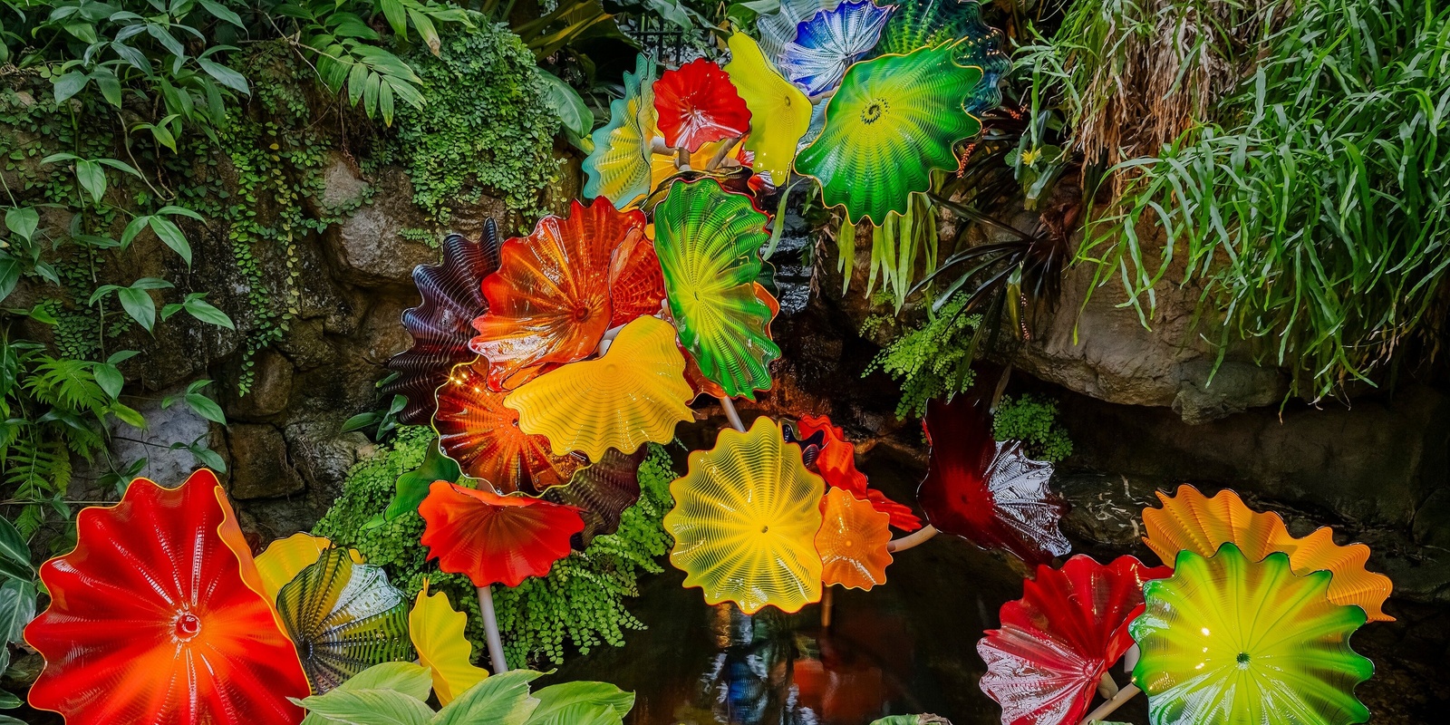 Banner image for Chihuly teacher professional development