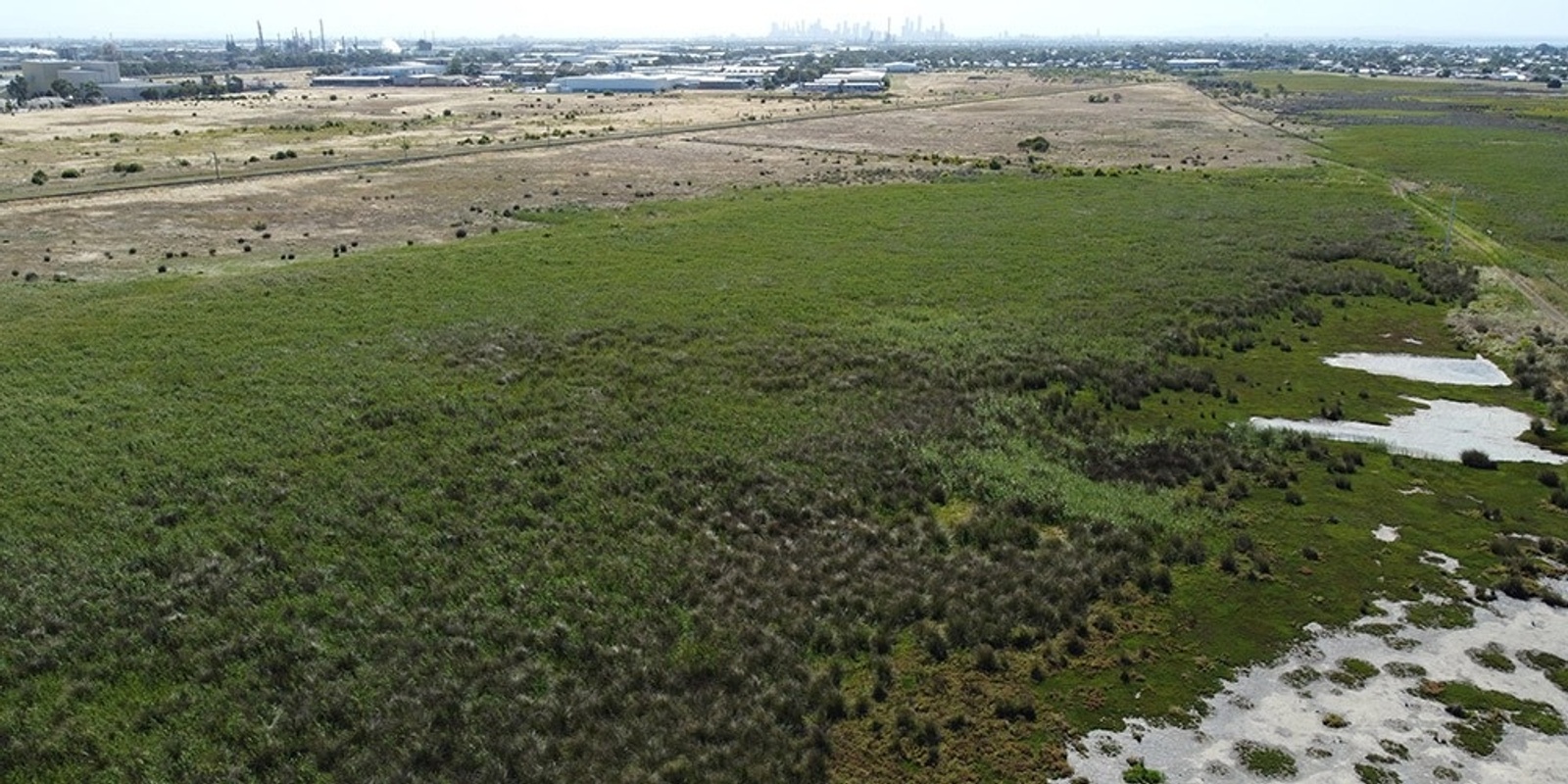 Banner image for Hobsons Bay grasslands by bike