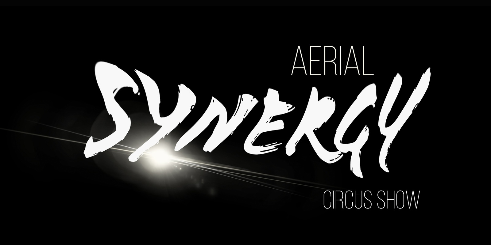 Banner image for Aerial Synergy Circus Show