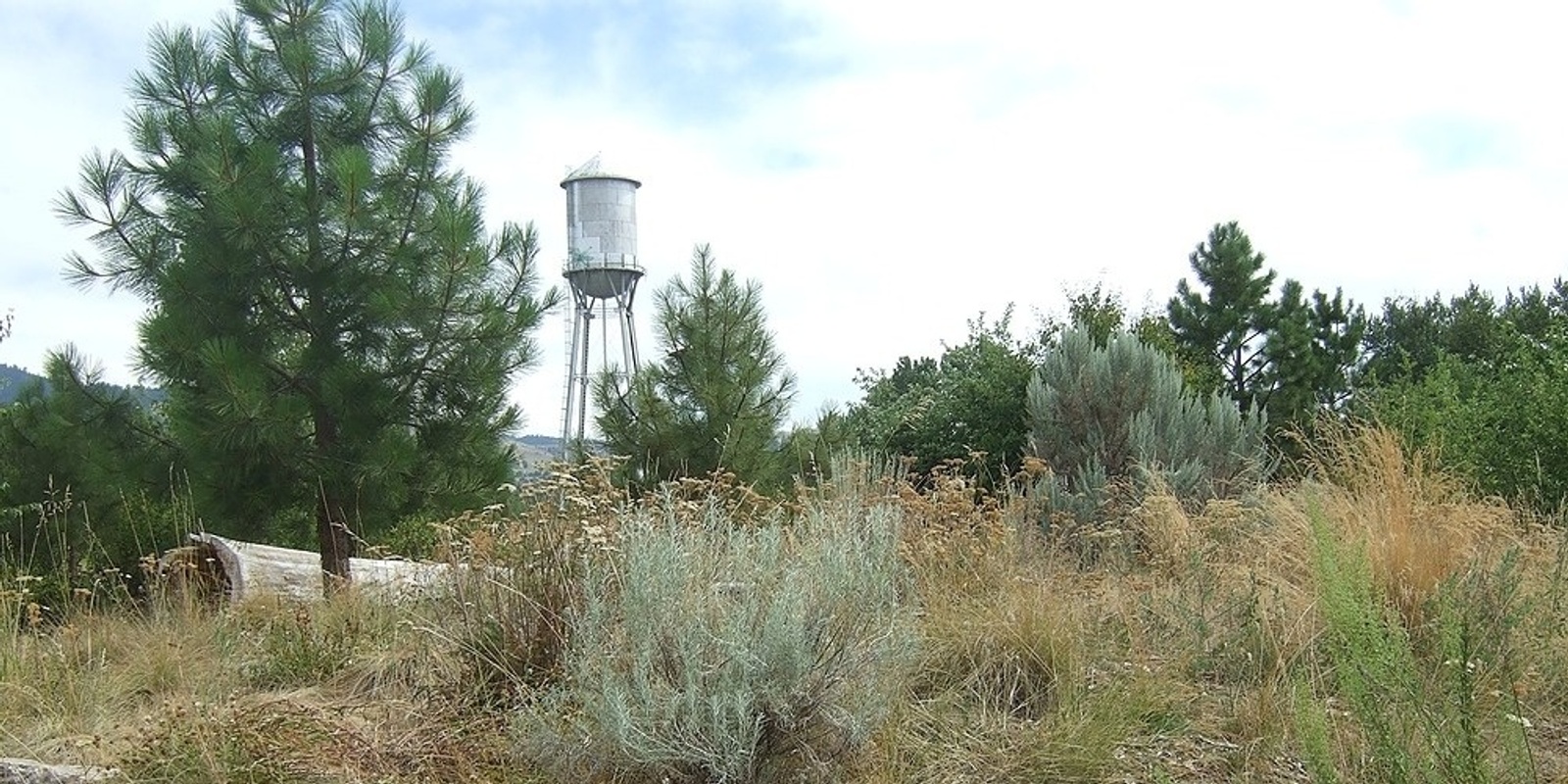 Banner image for Bird Watching Club at the Fort Missoula Native Plant Garden