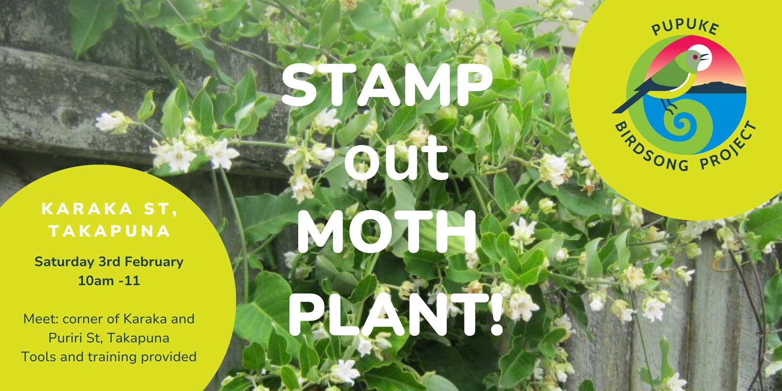 Banner image for STAMP out Moth Plant - Takapuna