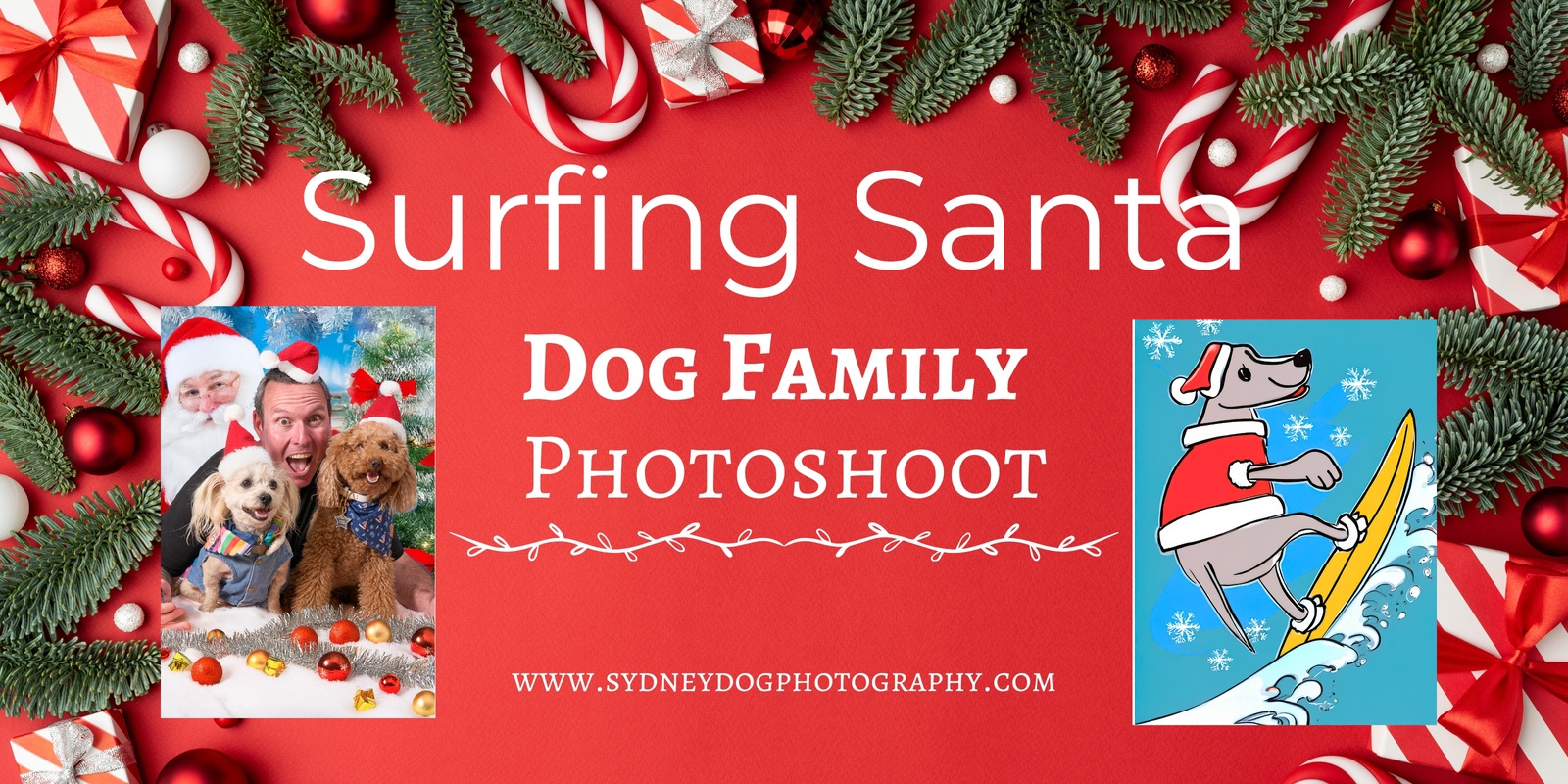 Banner image for Mona Surfing Santa Dog Photos