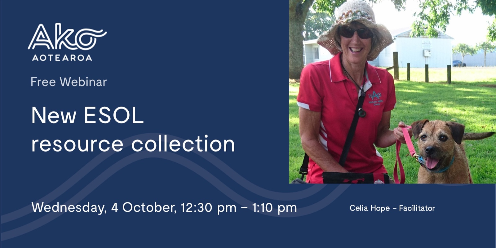 Banner image for New ESOL resource collection | Webinar