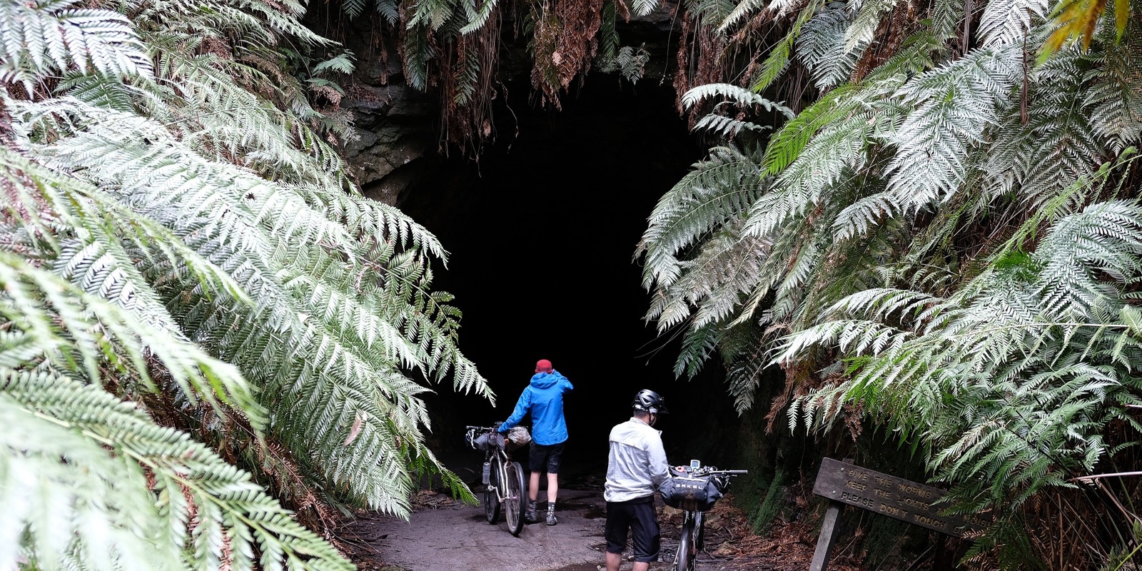 Banner image for Omafiets Shop Ride: Newnes and the Glowworm Tunnel