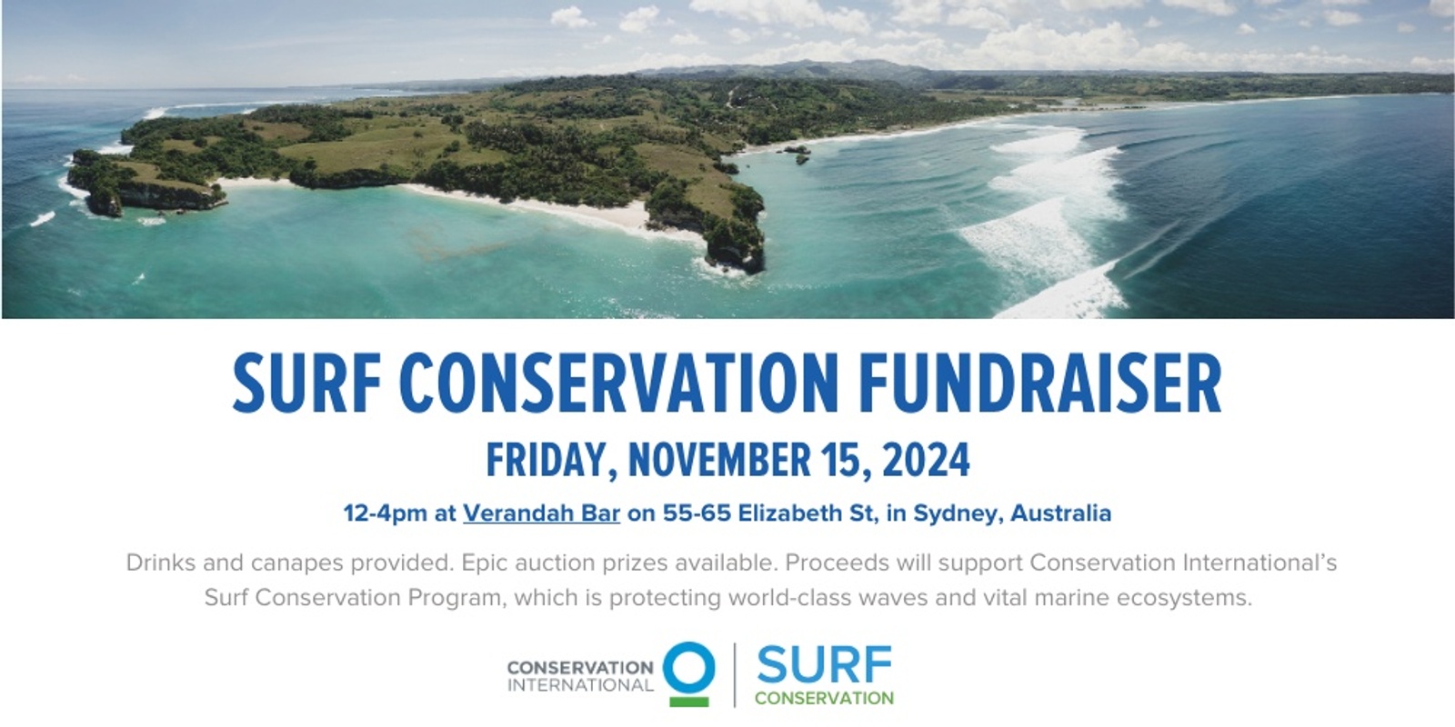 Banner image for CI's Surf Conservation Program November 2024 Fundraiser