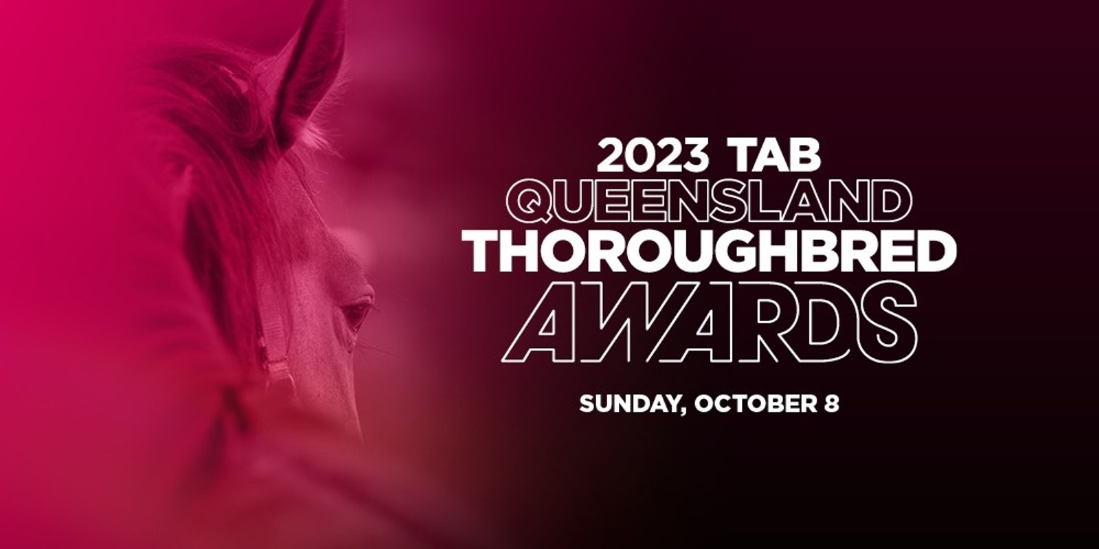 Banner image for 2023 TAB Queensland Thoroughbred Awards