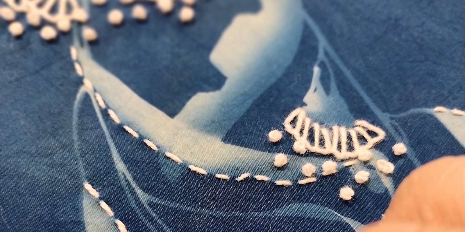 Banner image for Print and Stitch Cyanotypes