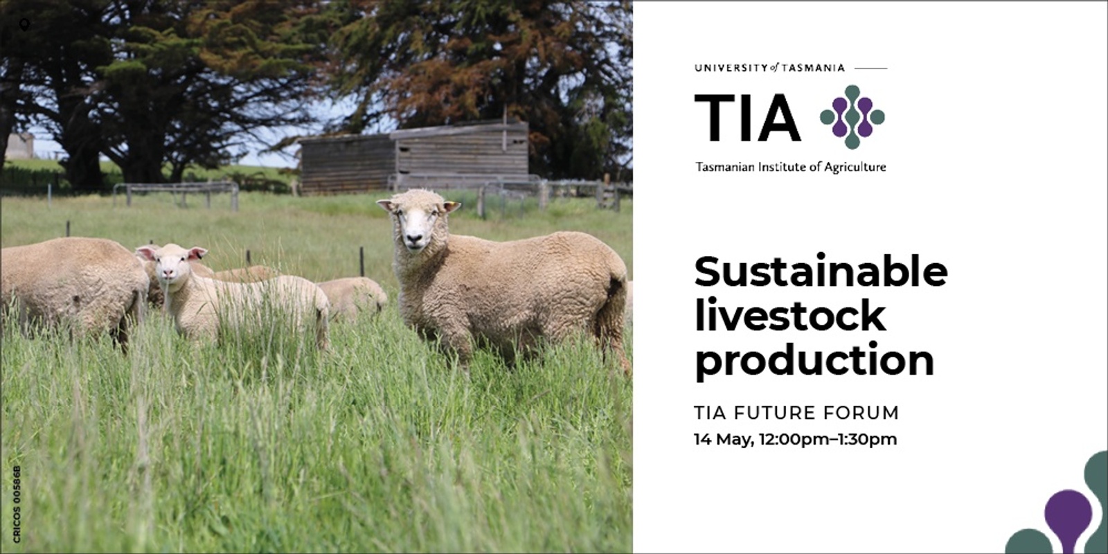 Banner image for TIA Future Forum: Ensuring a sustainable future for Australia's ruminant livestock production