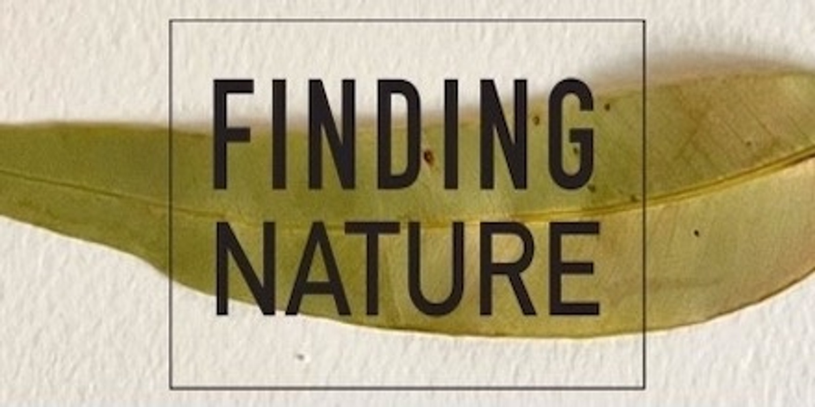 Banner image for Finding Nature Finds Nature - Barrington Tops Expedition