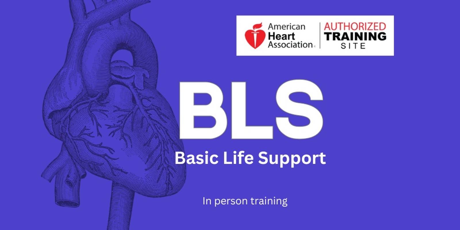 Banner image for BLS Provider