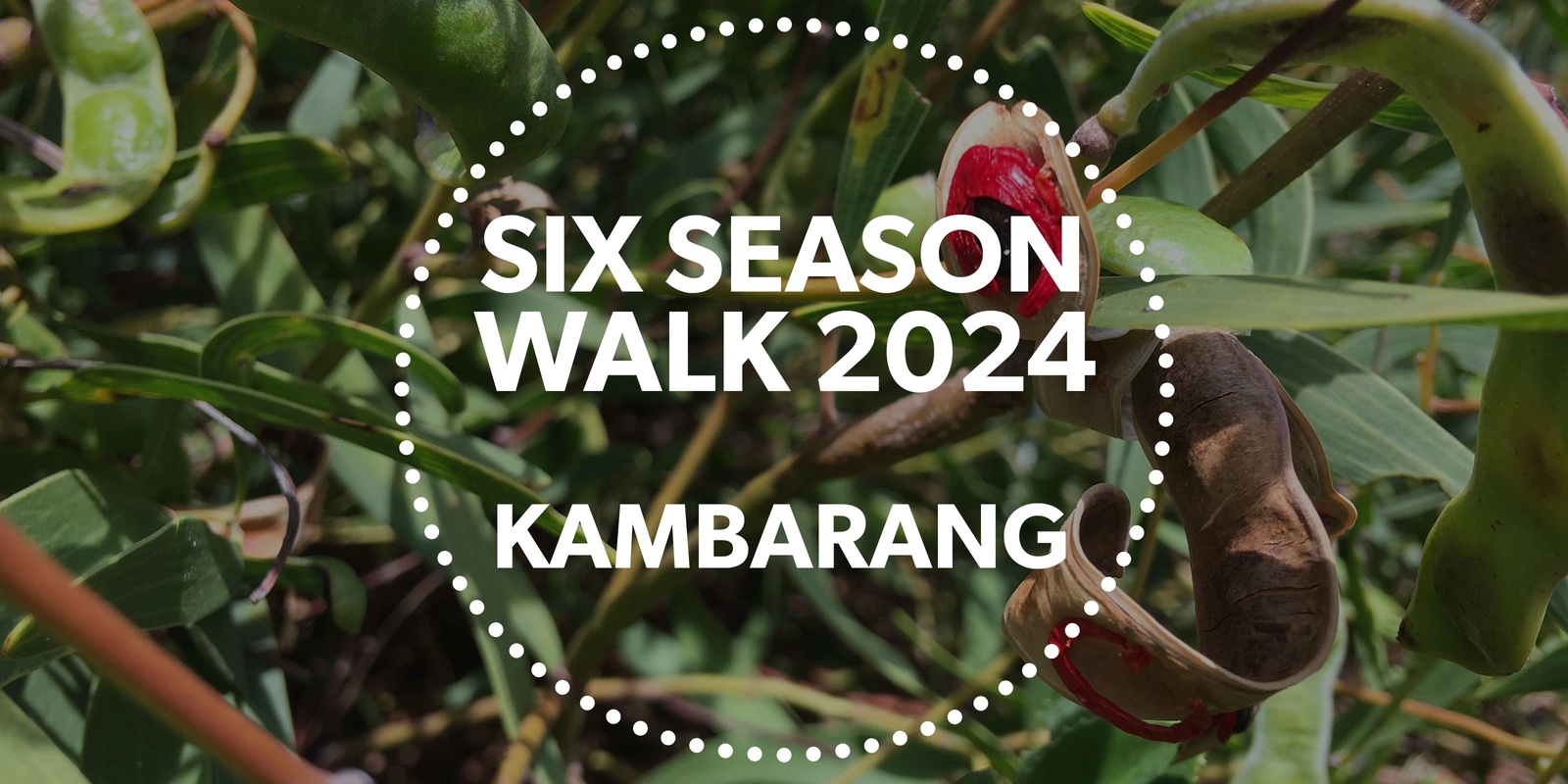 Banner image for Six Season Walks 2024 - Kambarang