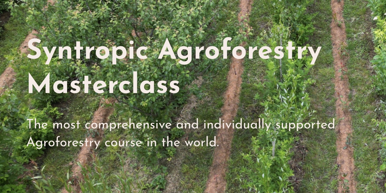 Banner image for The Syntropic Agroforestry MASTERCLASS