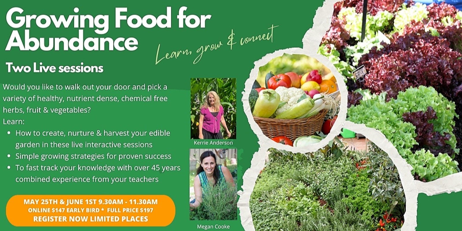Banner image for Growing Food for Abundance