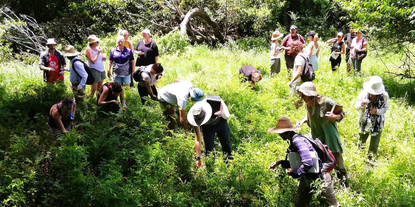 Banner image for Forage and Feast - Foraging for the Kitchen