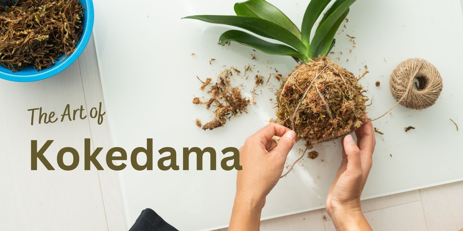 Banner image for The Art of Kokedama