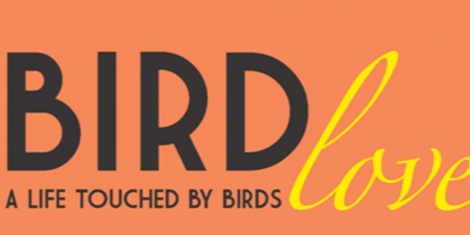 Banner image for BIRDlove book and art launch