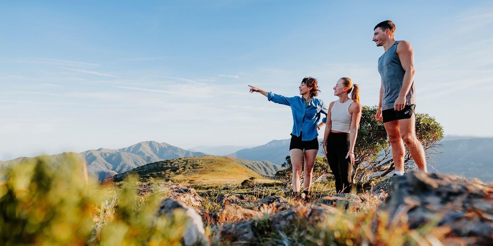 Banner image for Mt Hotham Guided Walks