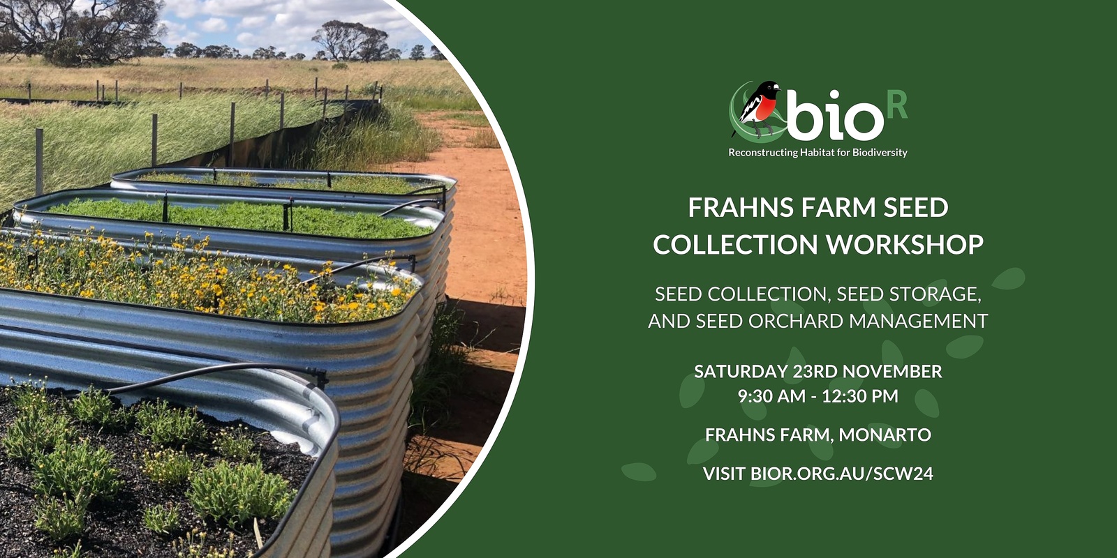 Banner image for Frahns Farm Seed Collection Workshop