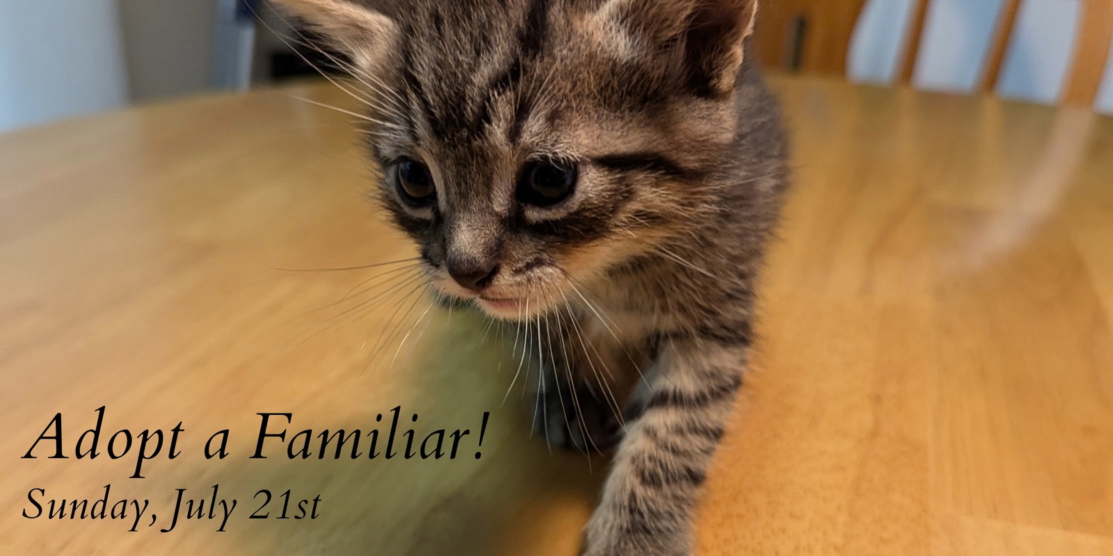 Banner image for Adopt a Familiar!