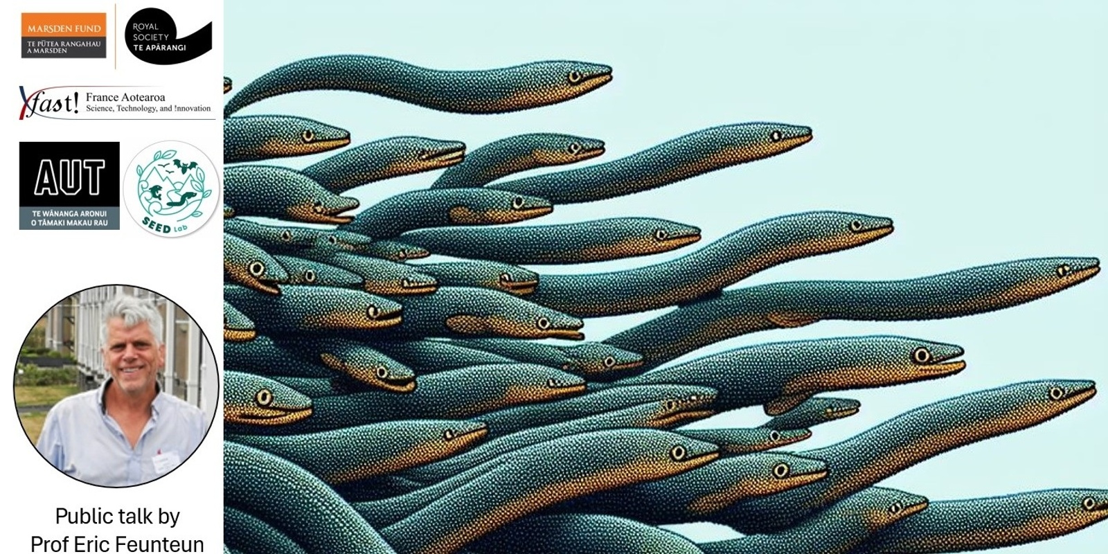 Banner image for Freshwater eels - Public talk with Pr. Eric Feunteun