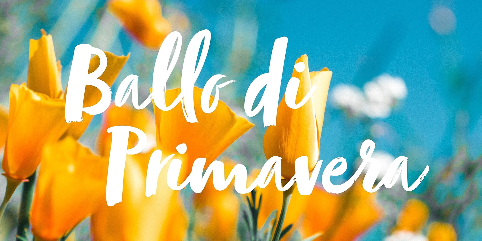 Banner image for Ballo di Primavera