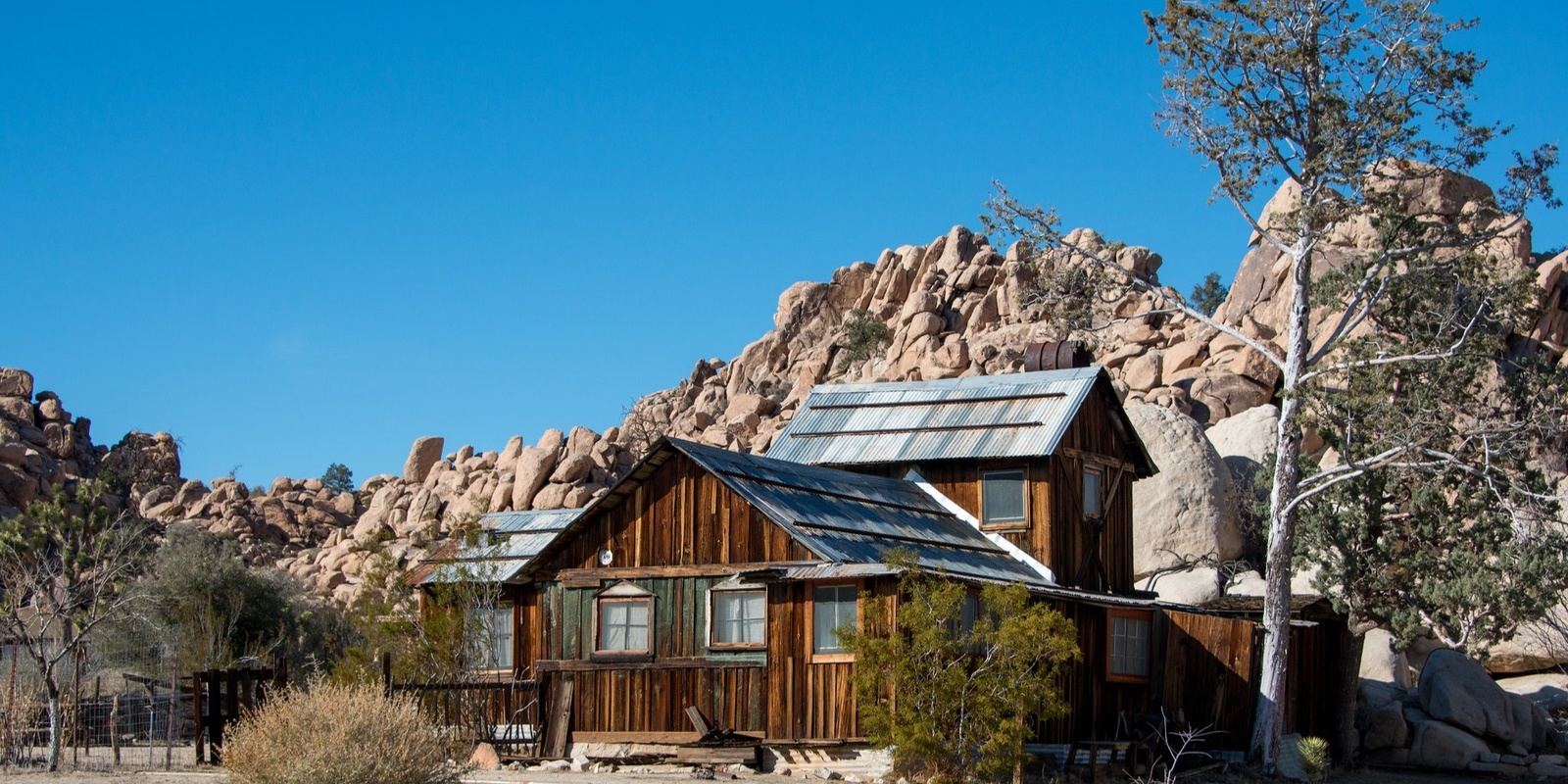 Banner image for Homesteads: The Legacy of Resource Use in Joshua Tree National Park