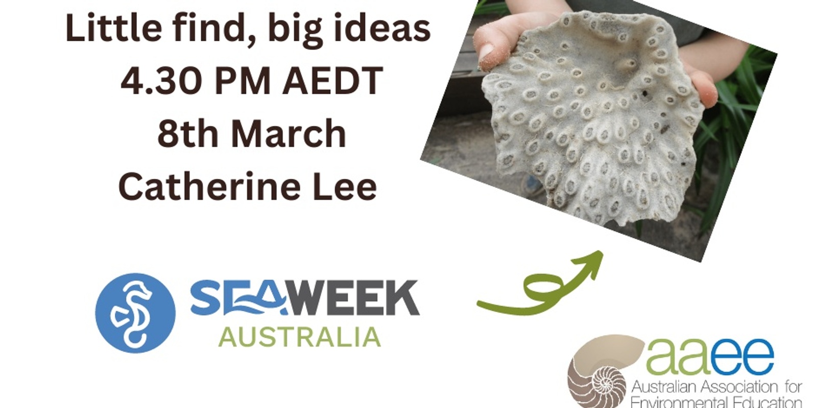 Banner image for SeaWeek Learning Circle - Little find, big ideas by Catherine Lee 