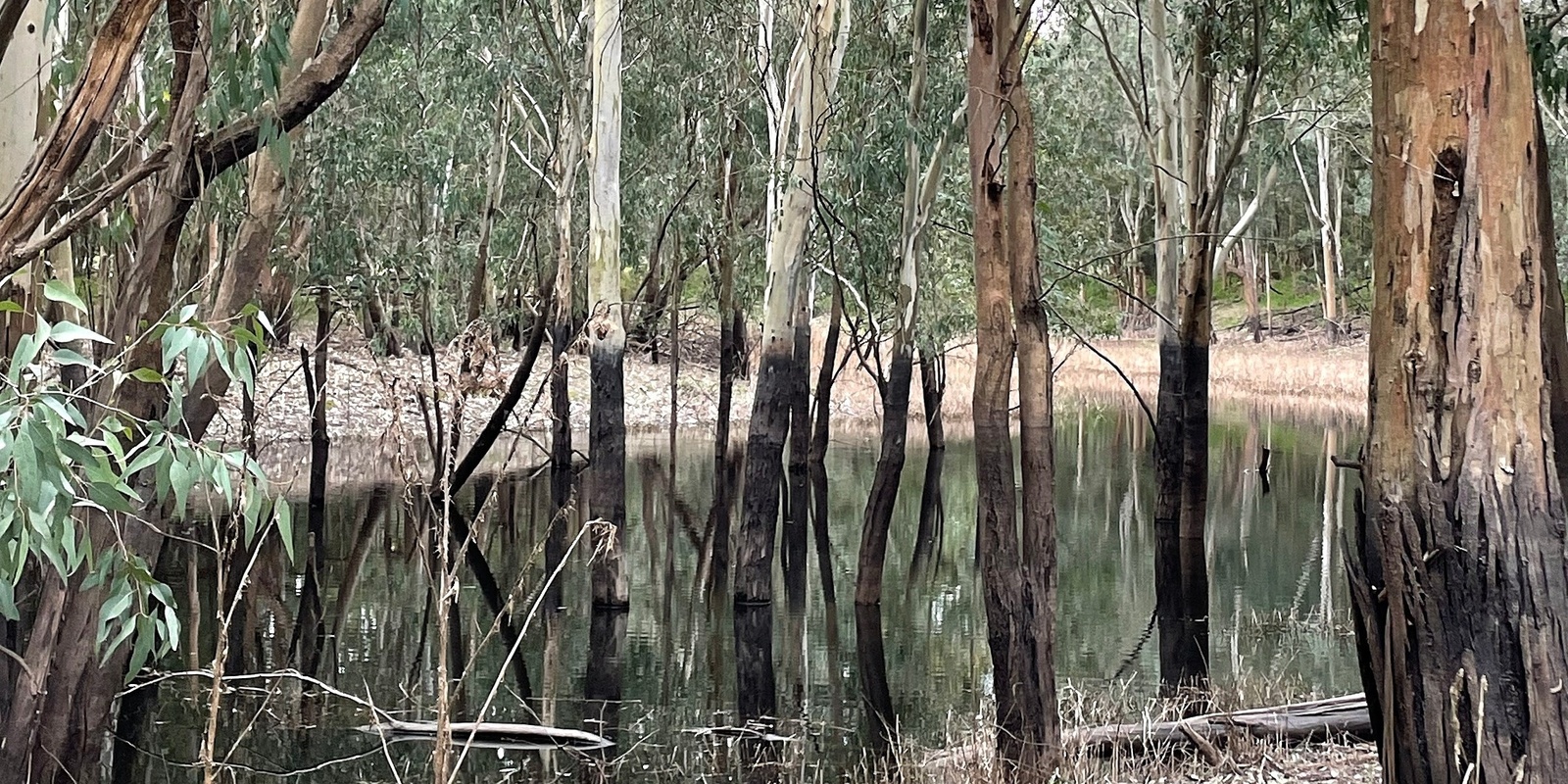 Banner image for Yarra Riverkeeper AGM 2024