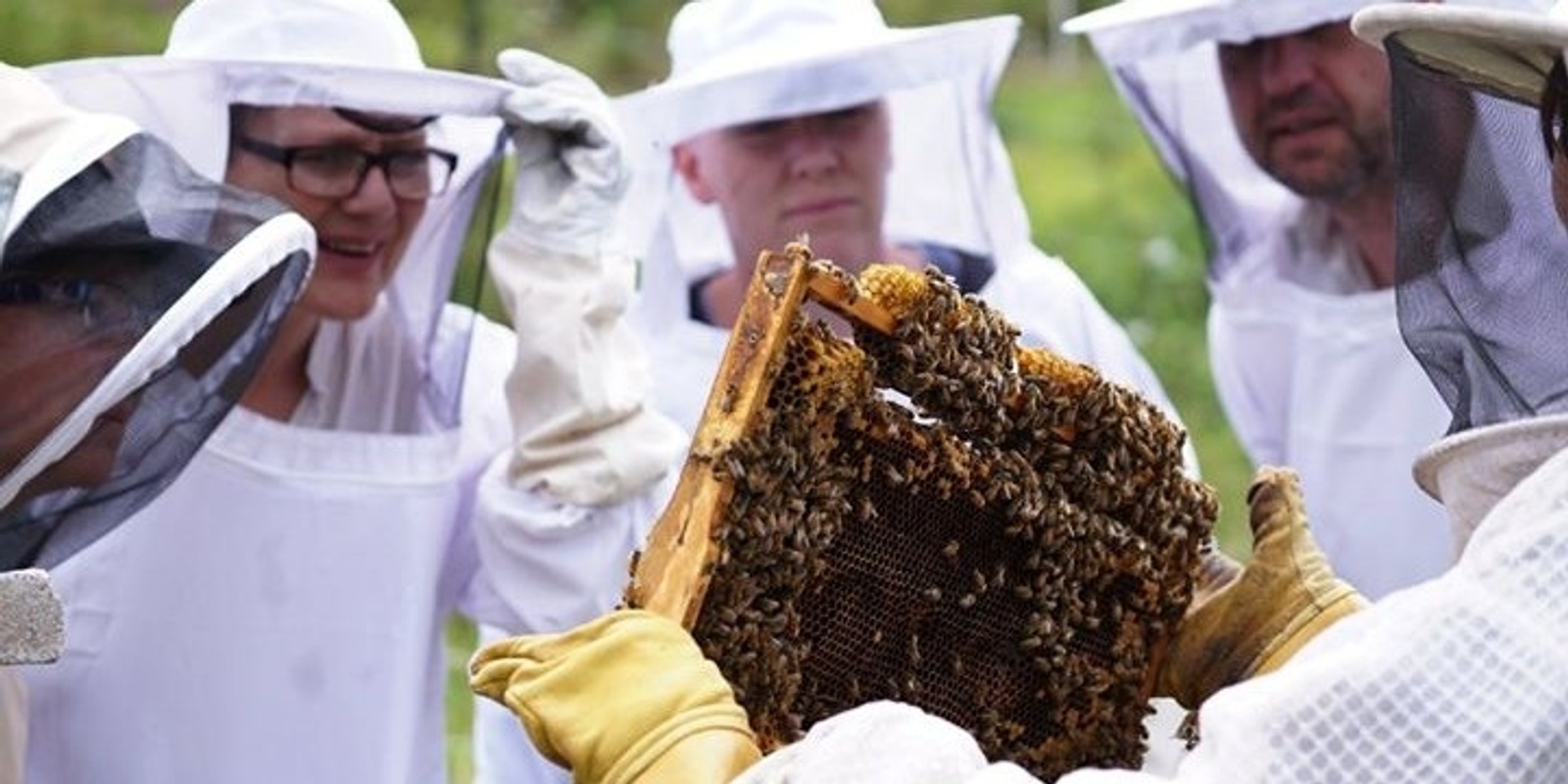 Banner image for In depth Beekeeping