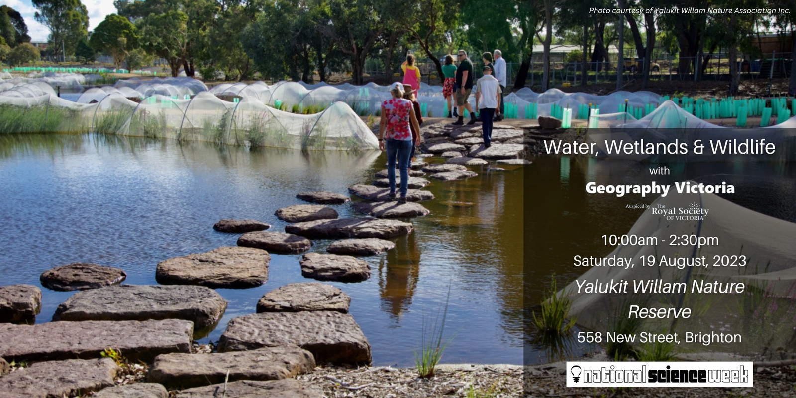 Banner image for Water, Wetlands and Wildlife