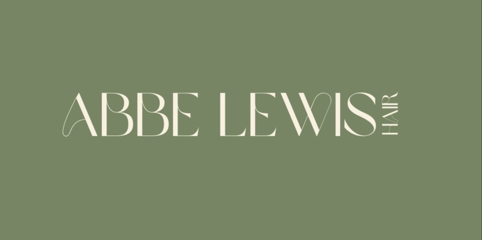 Abbe Lewis's banner
