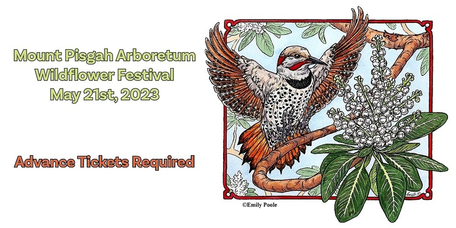 Mount Pisgah Arboretum Wildflower Festival Humanitix